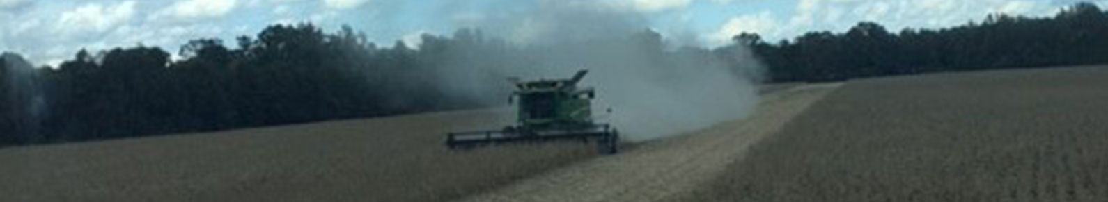John Deere Combine harvesting beans.